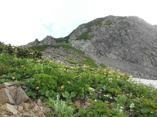 f:id:developingexplorer:20251018145551j:image