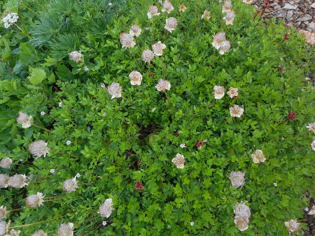 f:id:developingexplorer:20251018145604j:image
