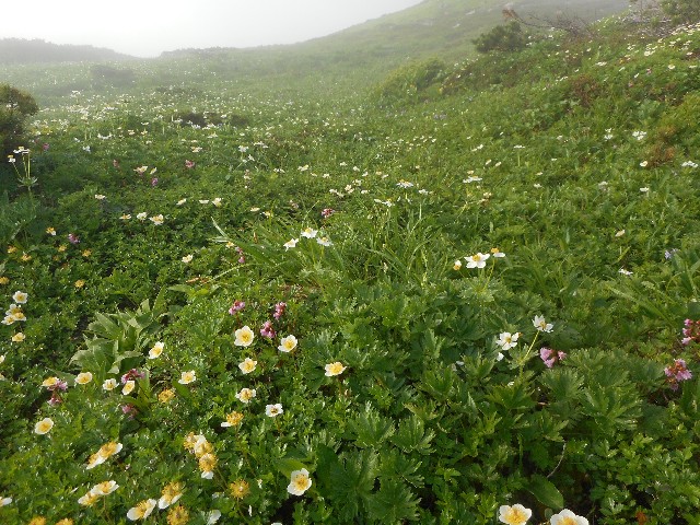 f:id:developingexplorer:20251018151113j:image