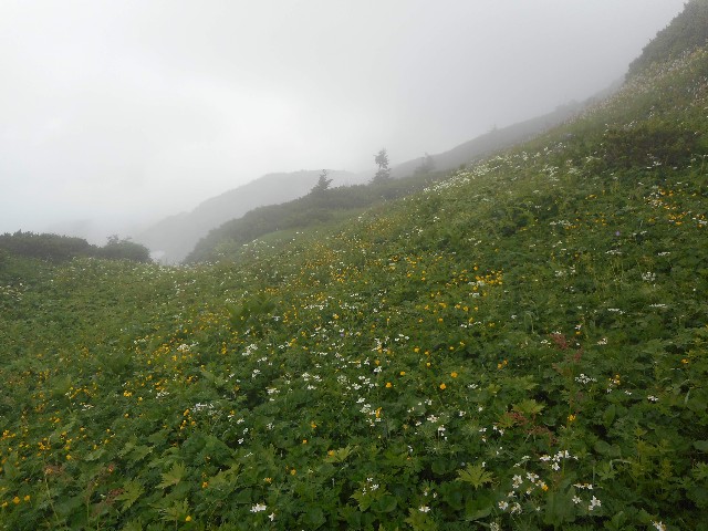 f:id:developingexplorer:20251018152057j:image