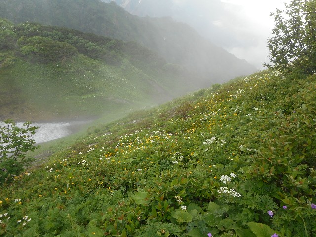 f:id:developingexplorer:20251018153732j:image