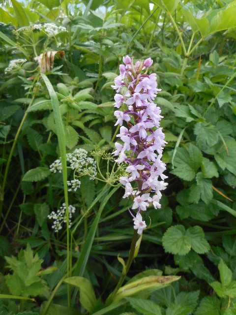 f:id:developingexplorer:20251018154058j:image