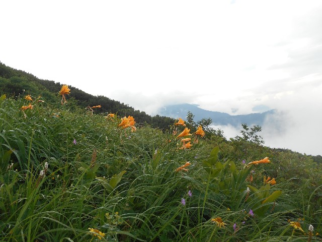 f:id:developingexplorer:20251018154130j:image