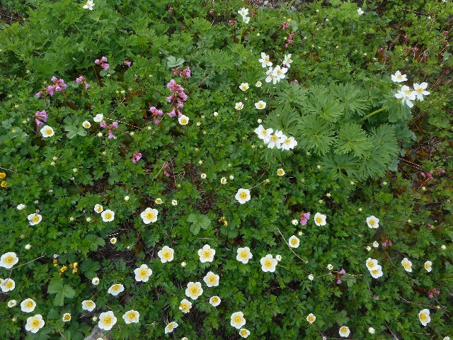 f:id:developingexplorer:20251018154200j:image