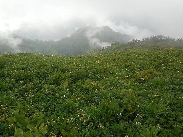 f:id:developingexplorer:20251018154344j:image