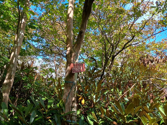 f:id:developingexplorer:20251026152550j:image