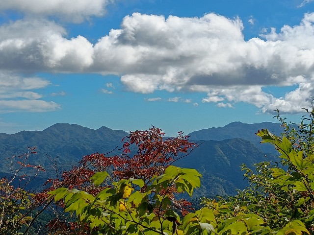 f:id:developingexplorer:20251026152749j:image