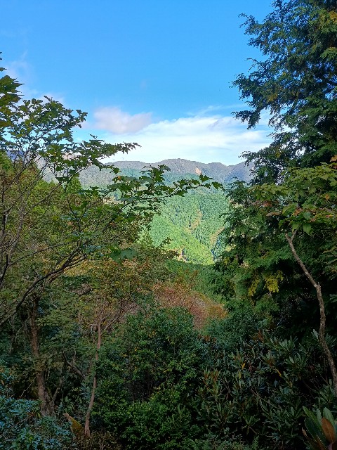 f:id:developingexplorer:20251026153238j:image