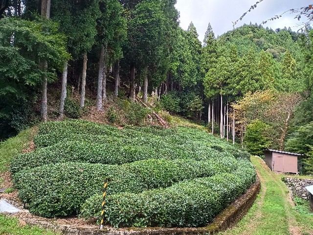 f:id:developingexplorer:20251026154010j:image