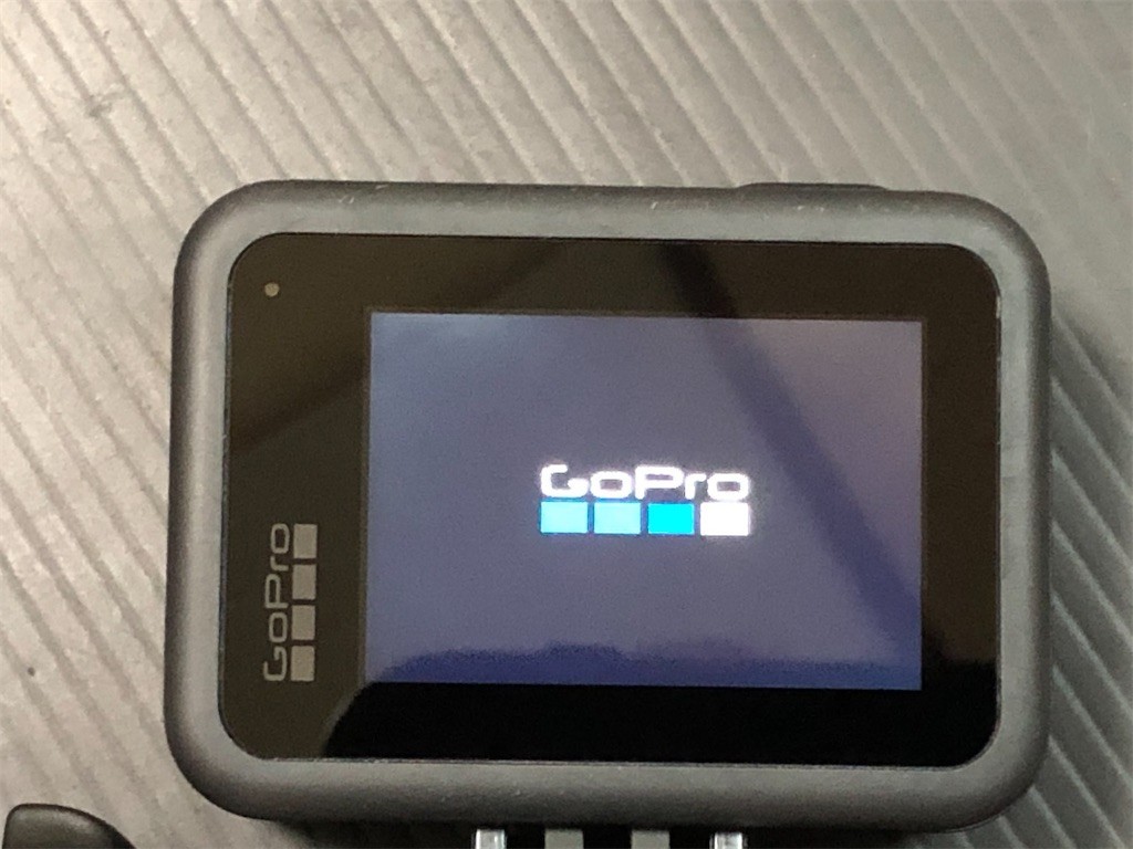 f:id:devilcat:20200701074113j:plain