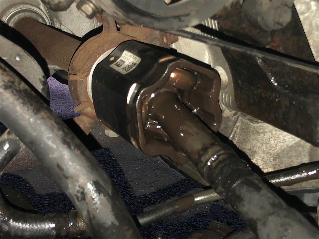 f:id:devilcat:20220531084251j:image f:id:devilcat:20220531084251j:image