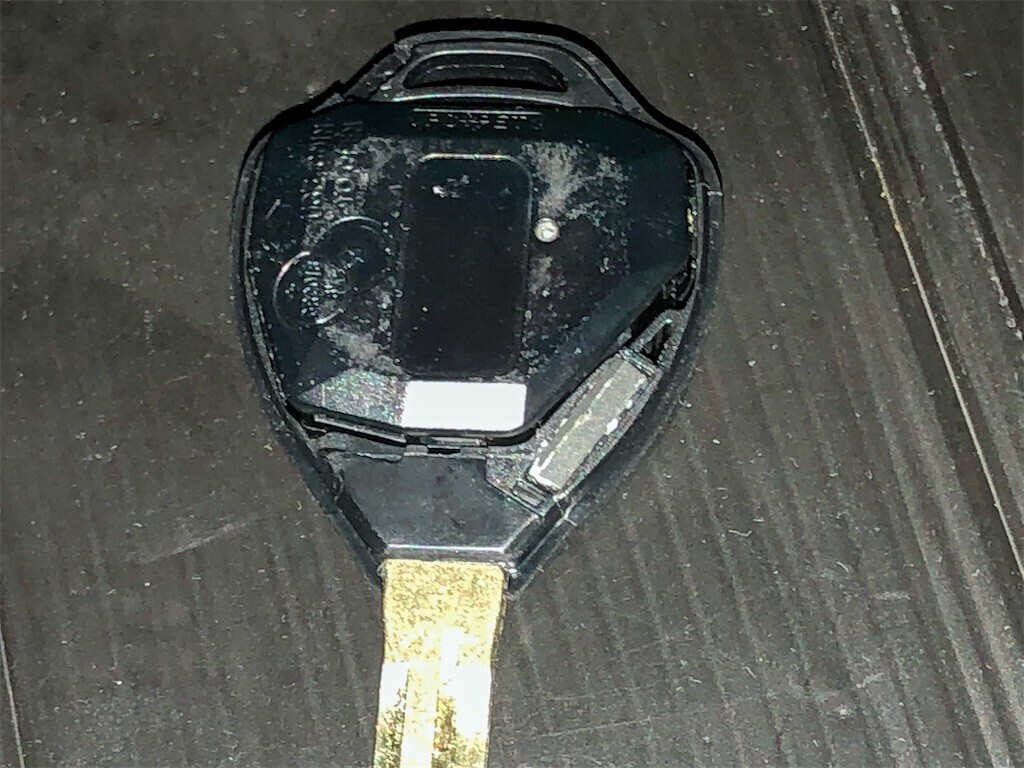 f:id:devilcat:20230217134454j:image