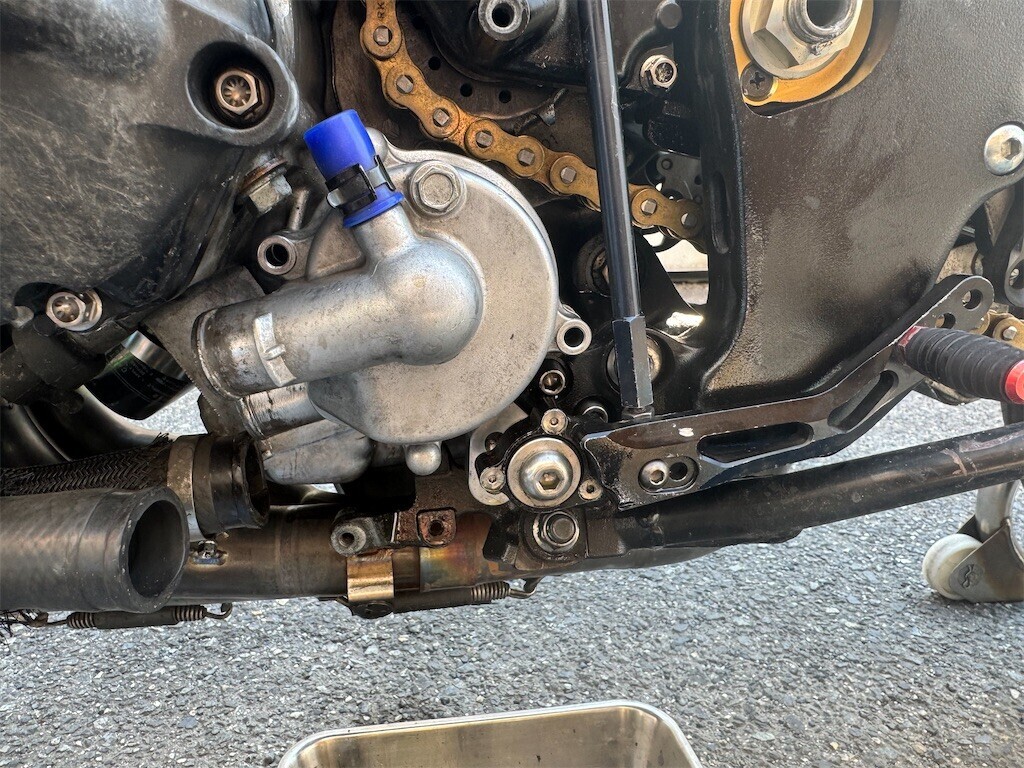 f:id:devilcat:20240620010312j:image f:id:devilcat:20240620010312j:image