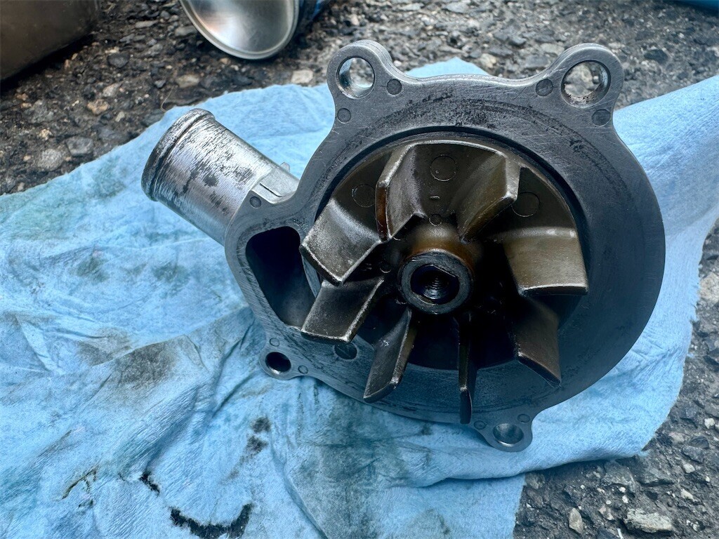 f:id:devilcat:20240620010330j:image f:id:devilcat:20240620010330j:image