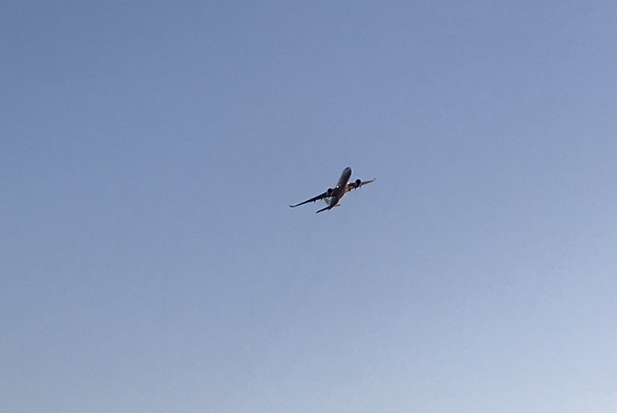 79 城南島海浜公園 - 独仏的クルマ生活