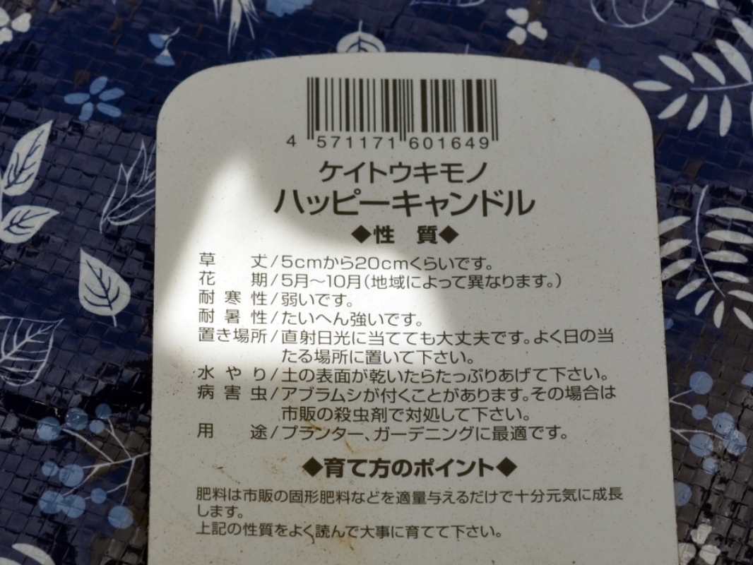 f:id:dfd69:20210515153700j:plain