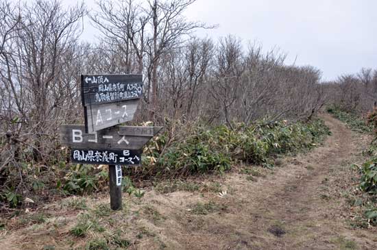 那岐山（1240.3m）に鳥取県側から登る - 播磨の山々