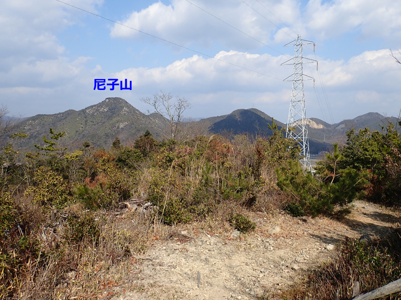 f:id:dfm92431:20200208194326j:plain
