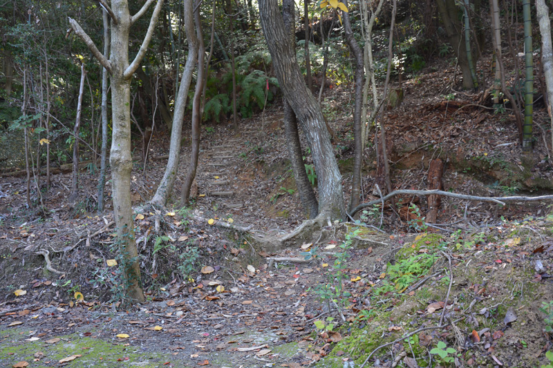 f:id:dfm92431:20201115193706j:plain