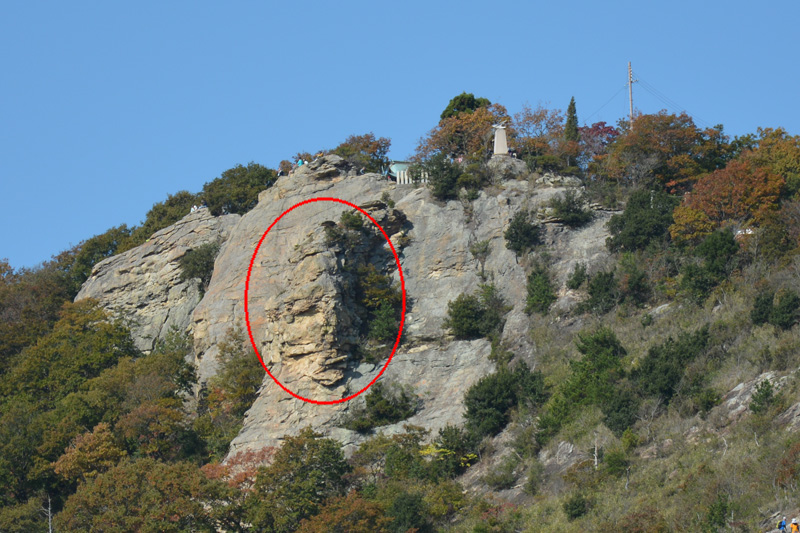 f:id:dfm92431:20201115194048j:plain