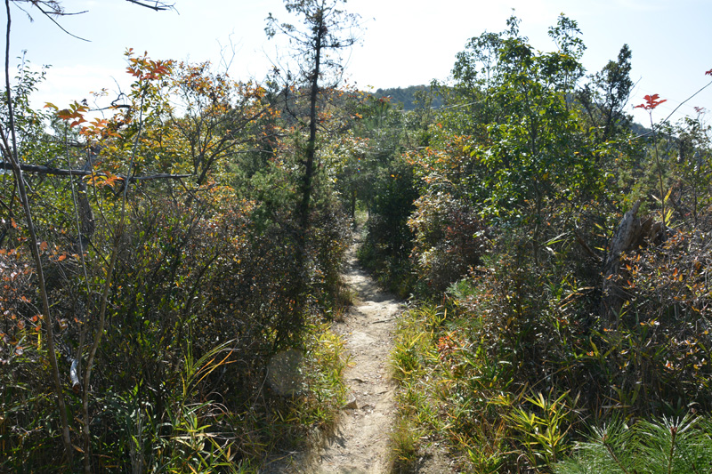 f:id:dfm92431:20201115194229j:plain