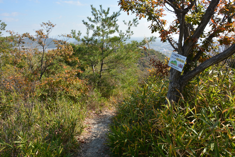 f:id:dfm92431:20201115194526j:plain