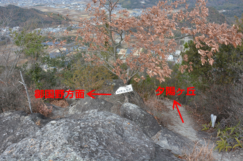 f:id:dfm92431:20201227172443j:plain