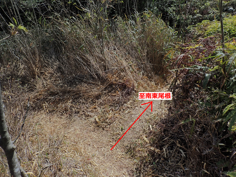 f:id:dfm92431:20210327204420j:plain
