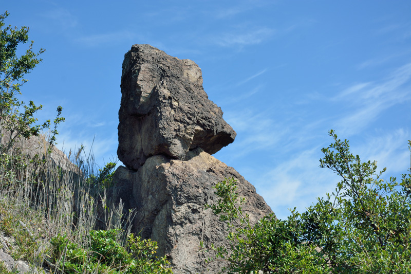 東姫路駅とは 地理の人気 最新記事を集めました はてな