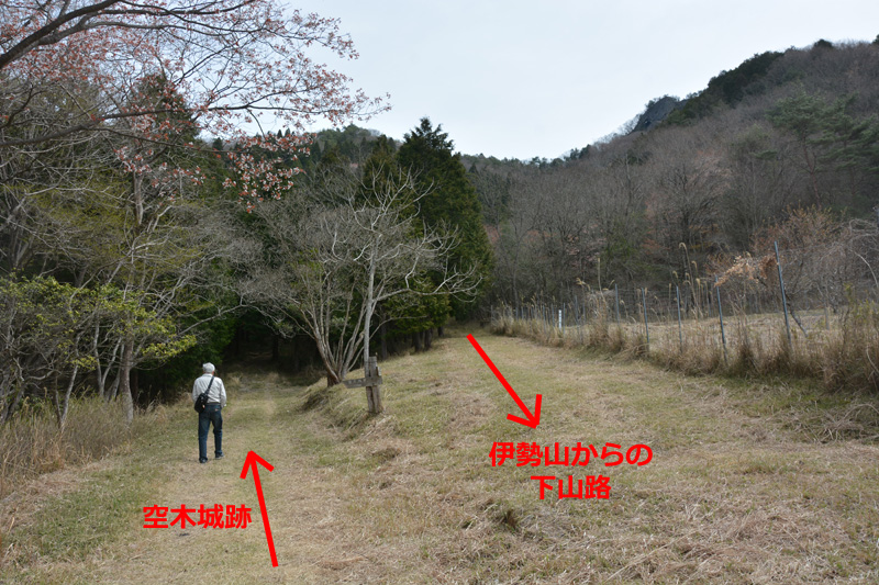 f:id:dfm92431:20220402203017j:plain