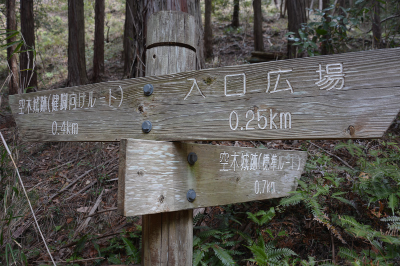 f:id:dfm92431:20220402203238j:plain