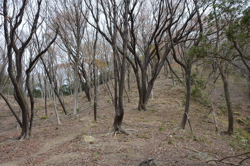 f:id:dfm92431:20220402203300j:plain