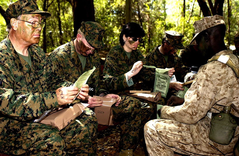 米軍の戦闘糧食「MRE」メニュー番号2「Chicken Stir Fry」 - 播磨の山々