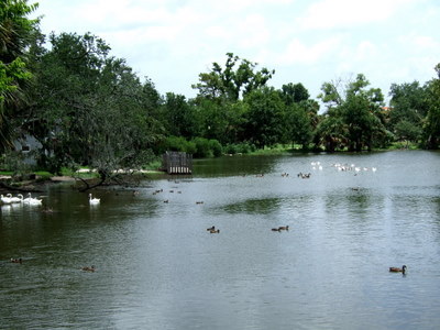 20070708142544