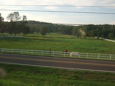 20070719200903