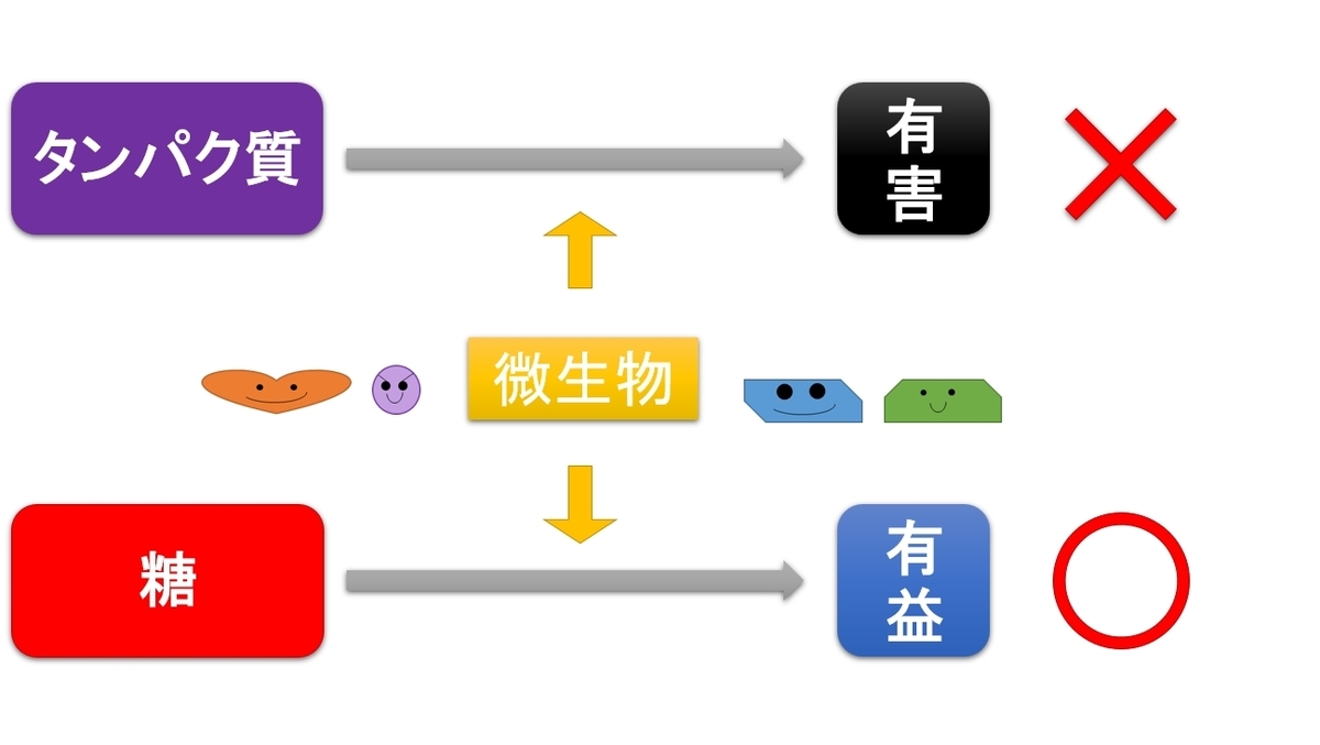 f:id:dg-daiyo:20220301143453j:plain