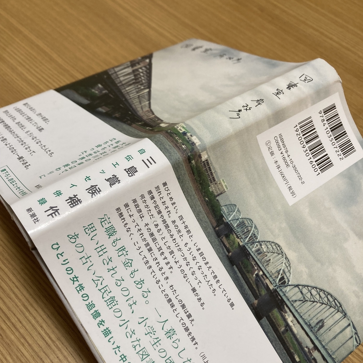 岸政彦 図書室 書評 世界の終わり の終わりについての 小説みたいな映画 1000字書評ブログ Trash And No Star