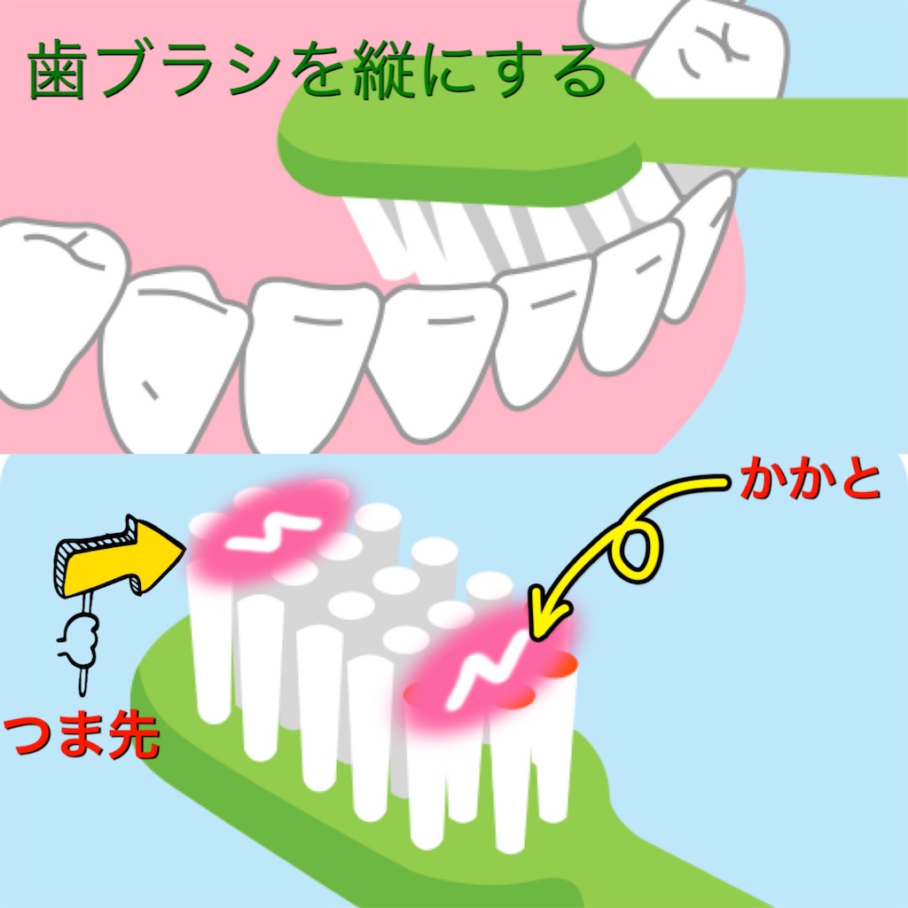 歯磨きの仕方〜ここまですれば口の中が変わるはず〜 - dh-mama’s diary