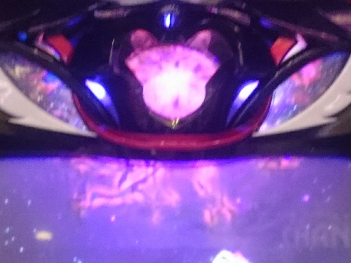 f:id:dhaepatatsuya:20190912181547j:plain f:id:dhaepatatsuya:20190912181547j:plain