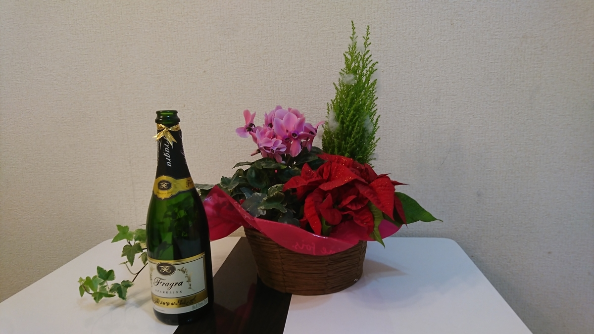 f:id:dhaepatatsuya:20191223032547j:plain