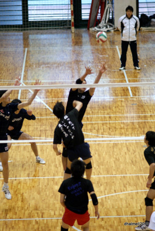 f:id:dhalmel:20100328144244j:image:w200