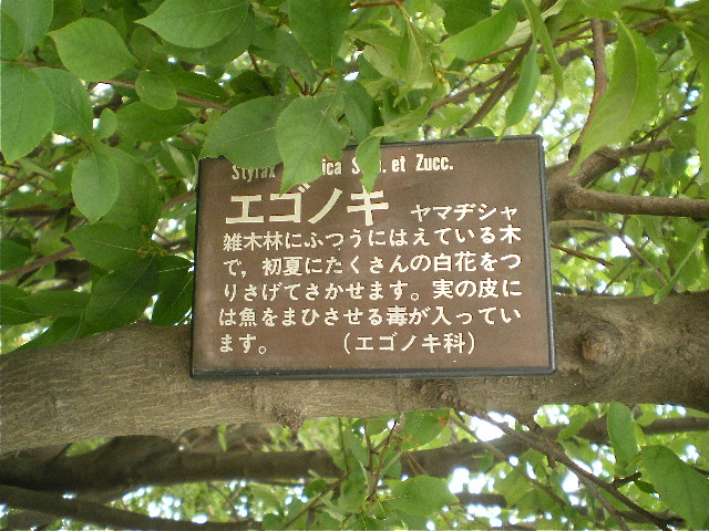 f:id:dharmaknit_and_books:20110604184018j:image:w300:right f:id:dharmaknit_and_books:20110604184018j:image:w300:right