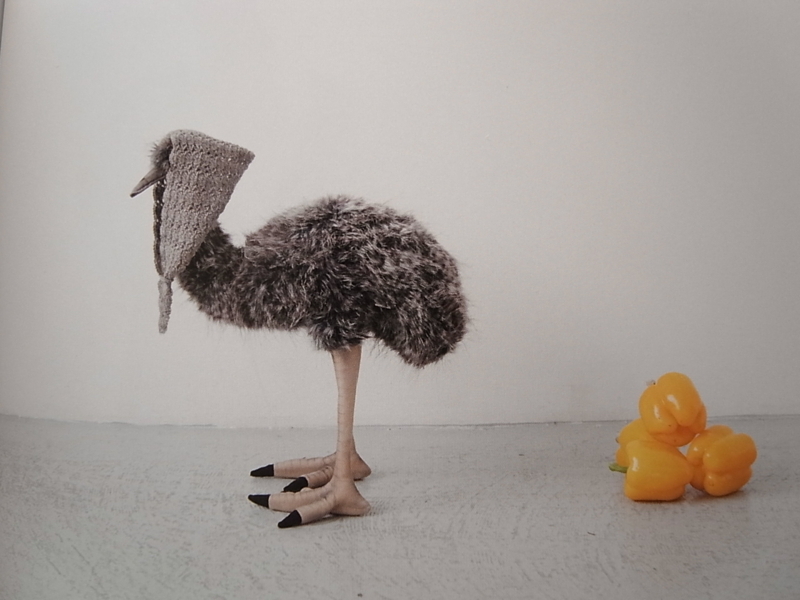 f:id:dharmaknit_and_books:20111226022246j:image:w300