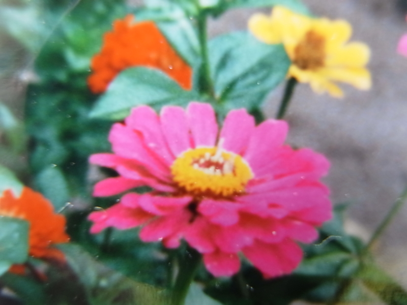 f:id:dharmaknit_and_books:20120402091614j:image:w300:right