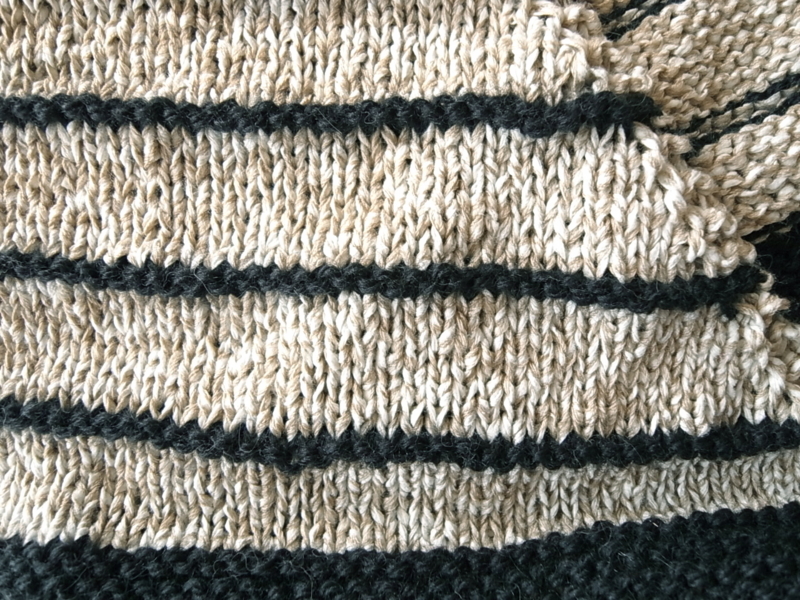 f:id:dharmaknit_and_books:20131123223305j:image:w250
