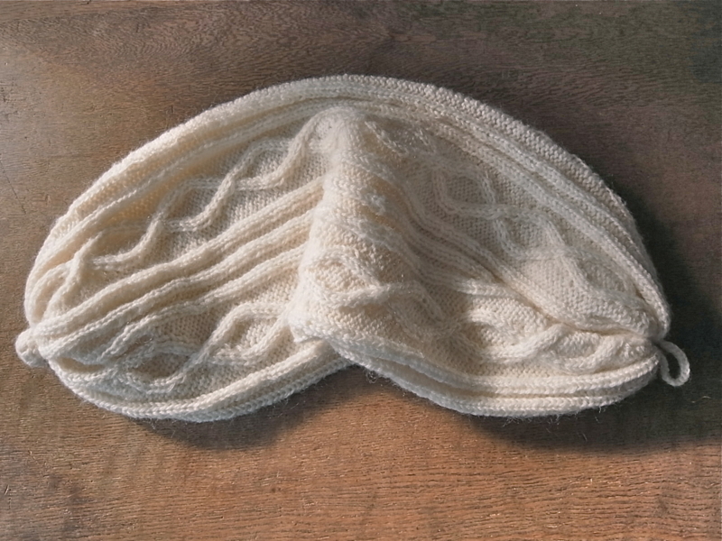 f:id:dharmaknit_and_books:20131217185522j:image:w300