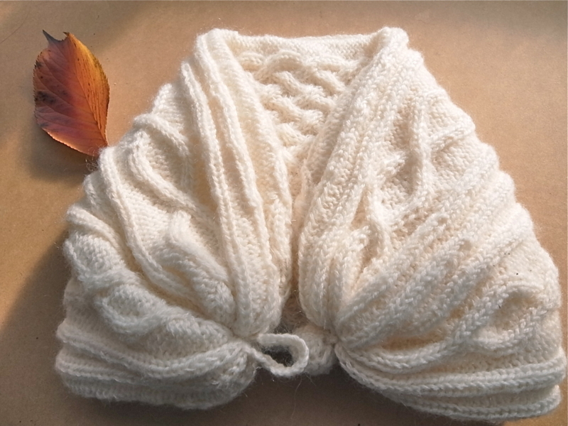 f:id:dharmaknit_and_books:20131217185531j:image:w500