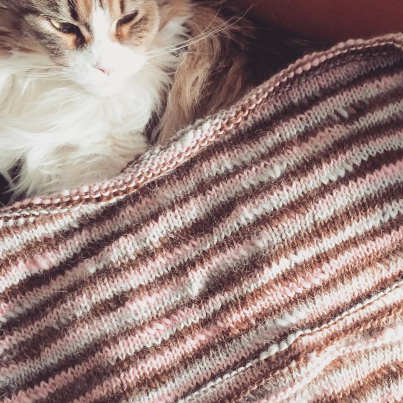 f:id:dharmaknit_and_books:20160202023916j:image:w500