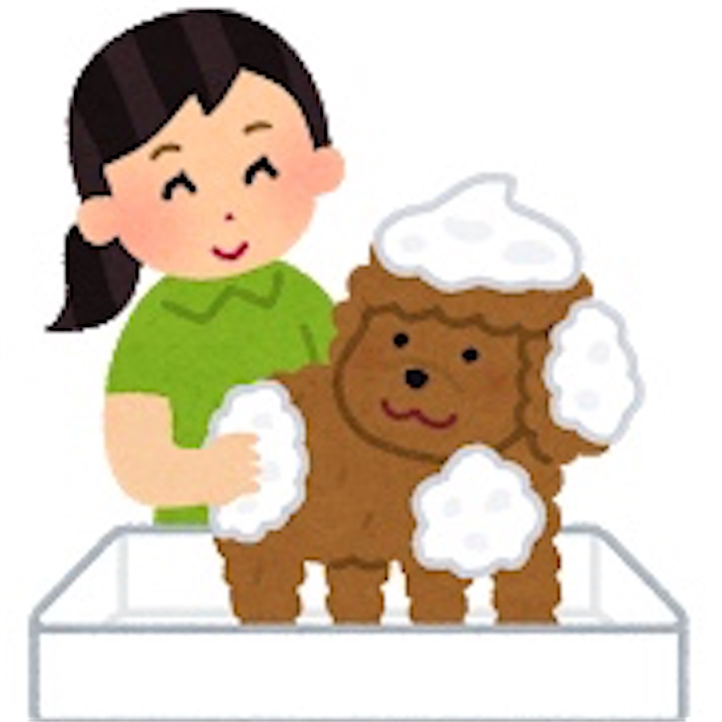 f:id:dhfruits:20200824151203j:image