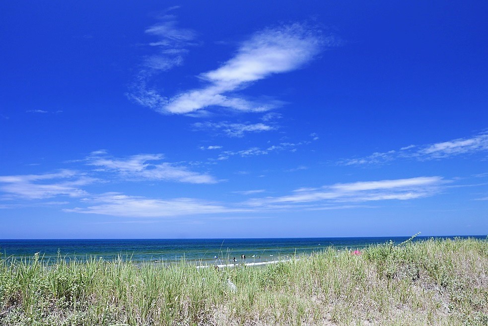 f:id:dhi-onn131:20190815095246j:plain f:id:dhi-onn131:20190815095246j:plain